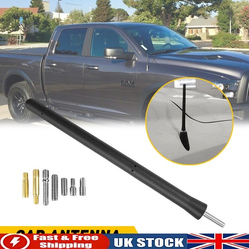 For car beesting bee - for,