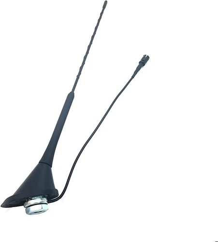 Car stereo radio mast - car, roof